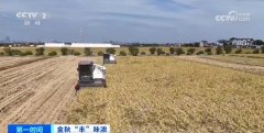 聪慧农业帮力节本增效沉彩绘就金秋“丰