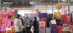 春节临近生果市场升温 果品供应充脚价钱