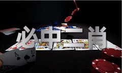 <b>新加坡小学问V61</b>