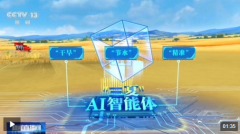 AI解锁丰收暗码丨把滴灌带“种”进玉米